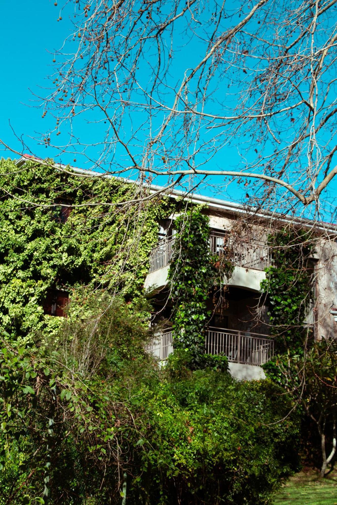 Southern Light Country House Fokváros Kültér fotó